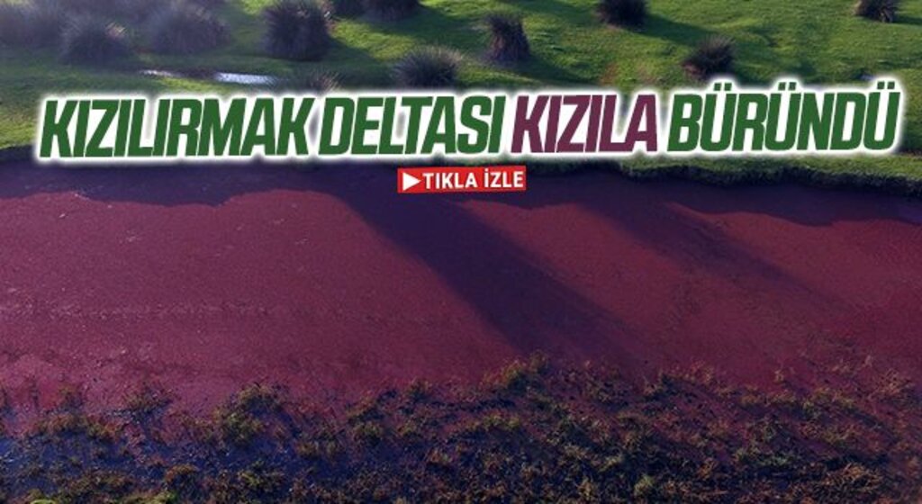 'Yeşil altın' madeni deltayı kızıla bürüdü