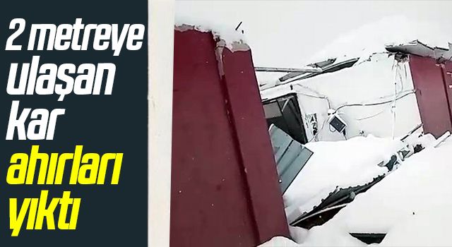 Samsun Ladik'te 2 metreye ulaşan kar ahırları yıktı