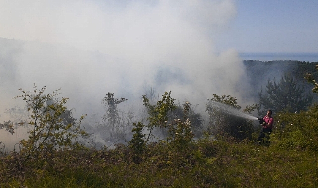 Sinop'ta Orman Yangını 