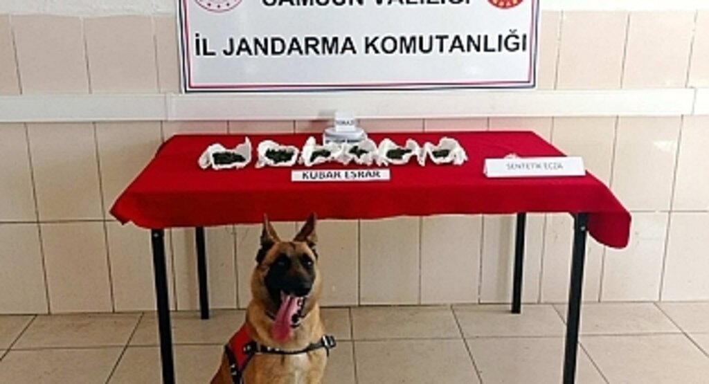 Samsun'da 37 zehir taciri yakalandı 