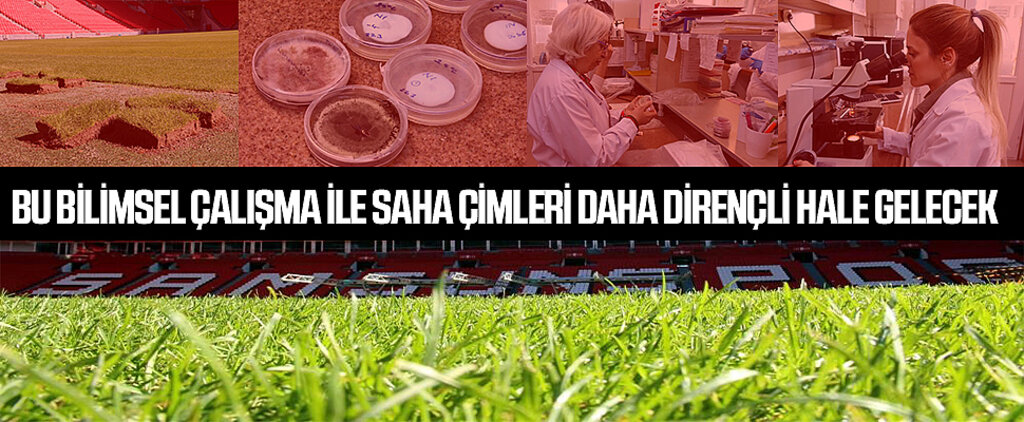 Bu Bilimsel Çalışma ile Saha Çimleri Daha Dirençli Hale Gelecek