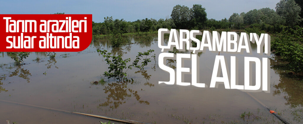 Çarşamba'yı sel aldı! Tarım arazileri sular altında