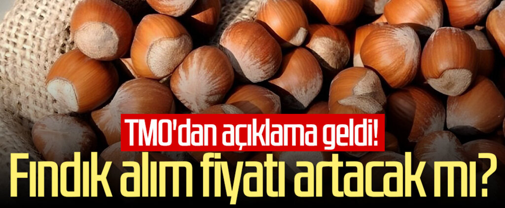 Fındık alım fiyatı artacak mı? TMO'dan açıklama geldi!