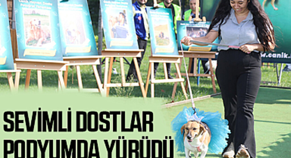 Samsun Canik'te Sevimli Dostlar Podyumda Yürüdü