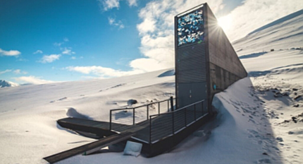 Dünya'nın Besin Kasası Svalbard'a Yeni Numune Eklendi: İşte Detaylar