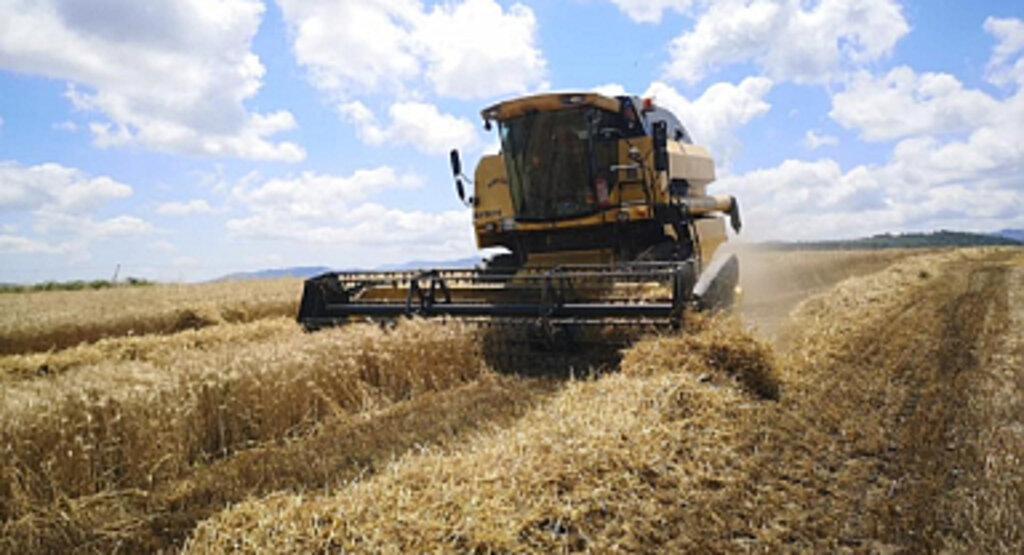 Samsun'da Rekor Buğday İthalatı ve Un İhracatı