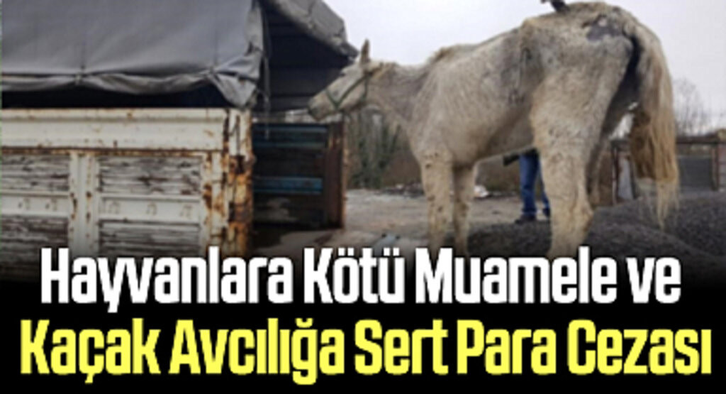 Hayvanlara Kötü Muamele ve Kaçak Avcılığa Sert Para Cezası