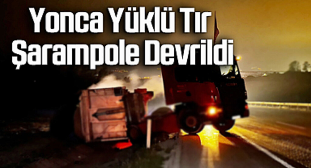 Samsun'da Yonca Yüklü Tır Şarampole Devrildi