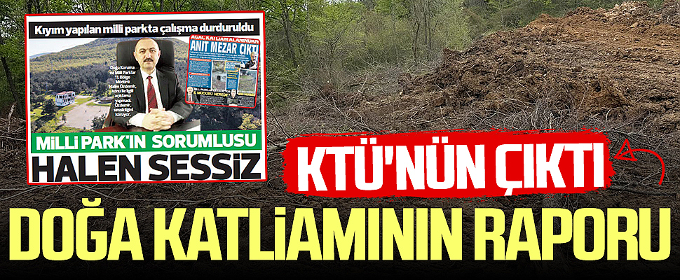 Samsun'daki doğa katliamının raporu KTÜ'nün çıktı