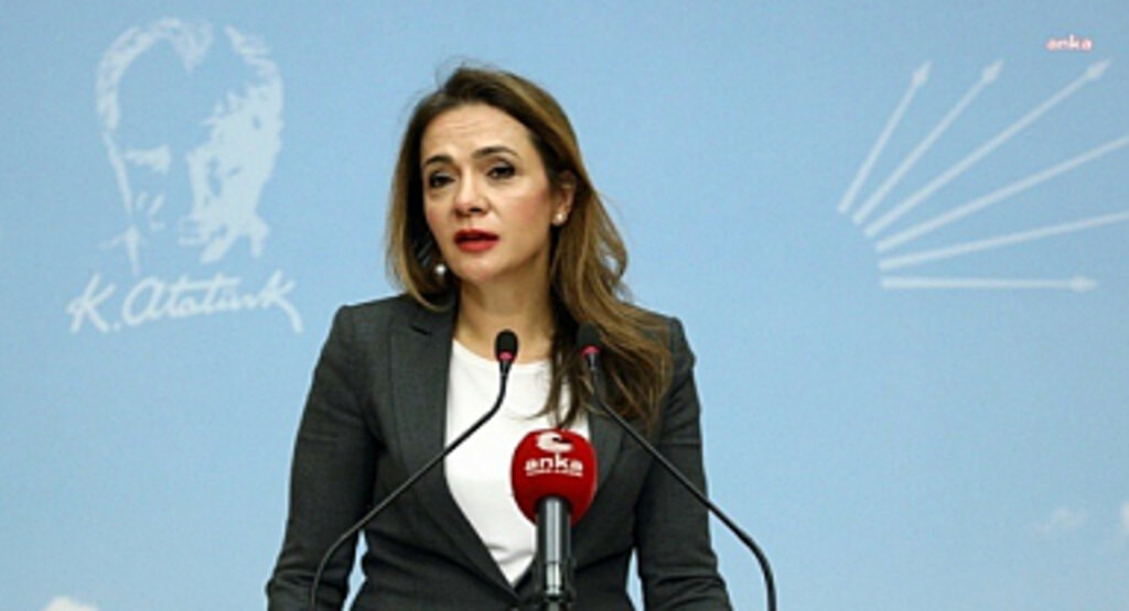 CHP'li Gamze Akkuş İlgezdi: 