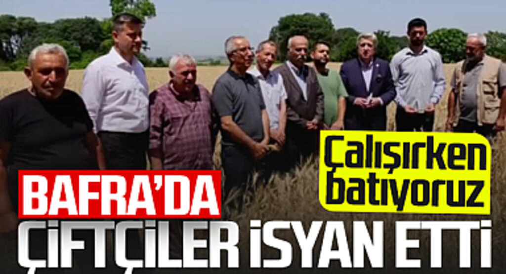 Bafra'da Çiftçiler İsyan Etti! 