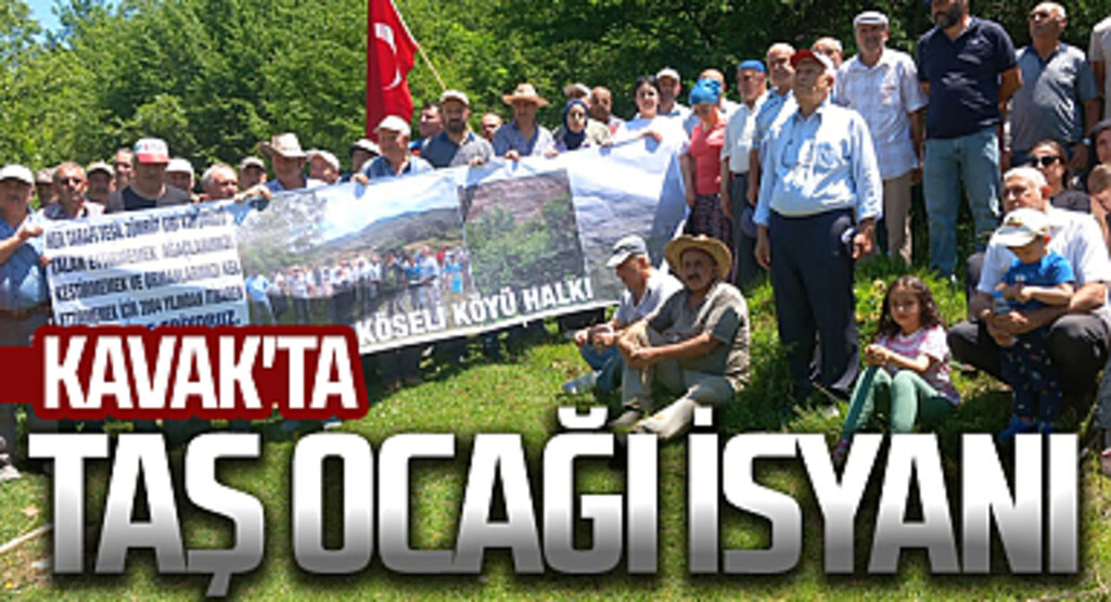 Kavak'ta vatandaşlar, ağaç katliamına isyan etti