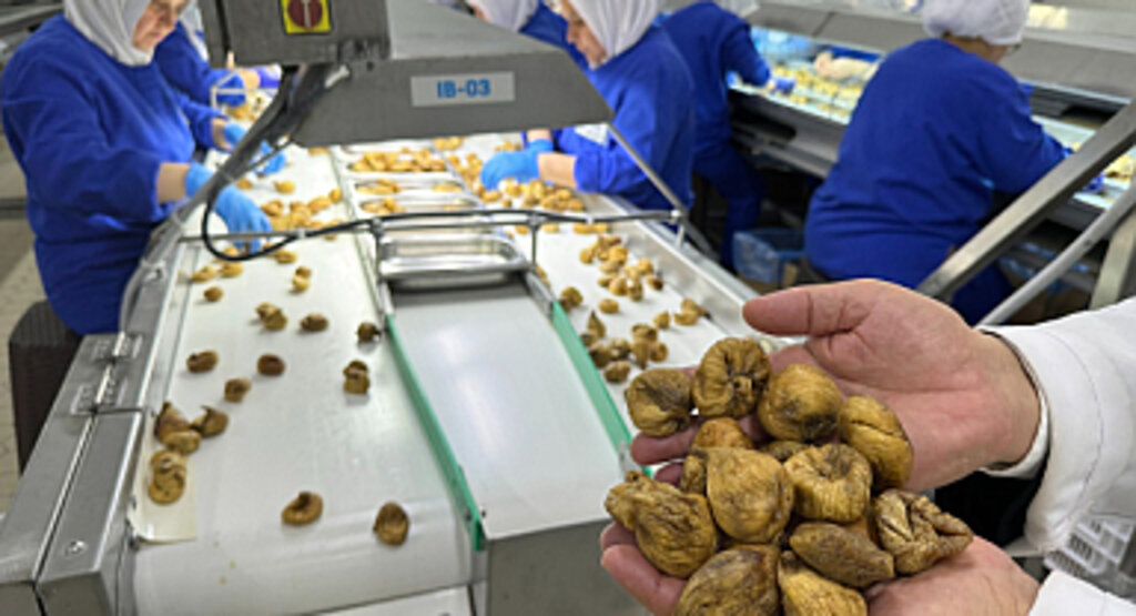 Kuru Meyve İhracatında Yüzde 15 Artış: 829 Milyon Dolar