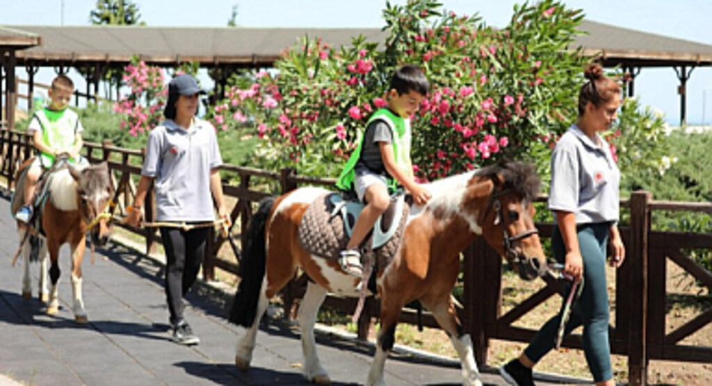 Samsun Atlı Spor Tesisleri Ziyaretçilerini Bekliyor