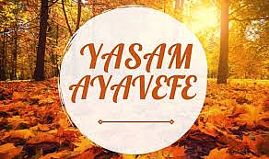 Yaşam Ayavefe Kimdir?