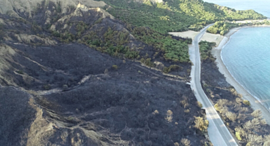 Çanakkale’de 21 Saattir Süren Yangın Tarihi Alanları Vurdu