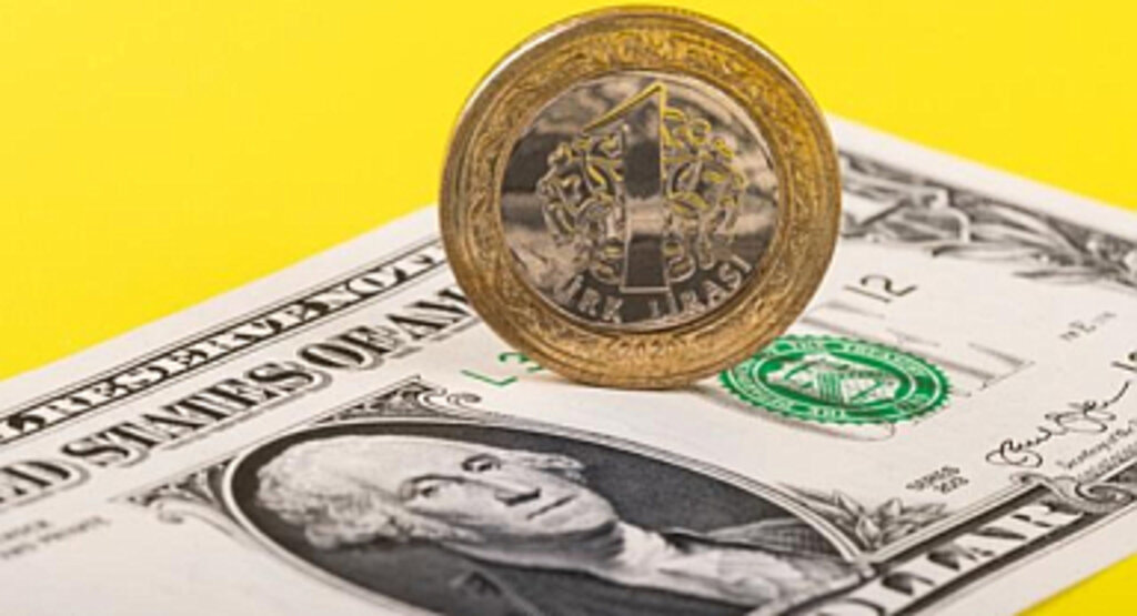 Dolar/TL Tarihi Zirvenin Hemen Altında Seyrediyor