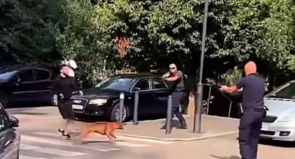 Fransa'da Polis Ağızlıksız Gezdirilen Köpeği Vurdu