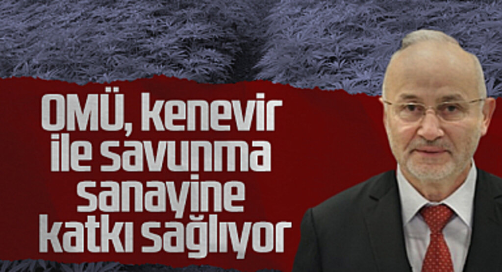 OMÜ, Kenevir ile Savunma Sanayine Katkı Sağlıyor