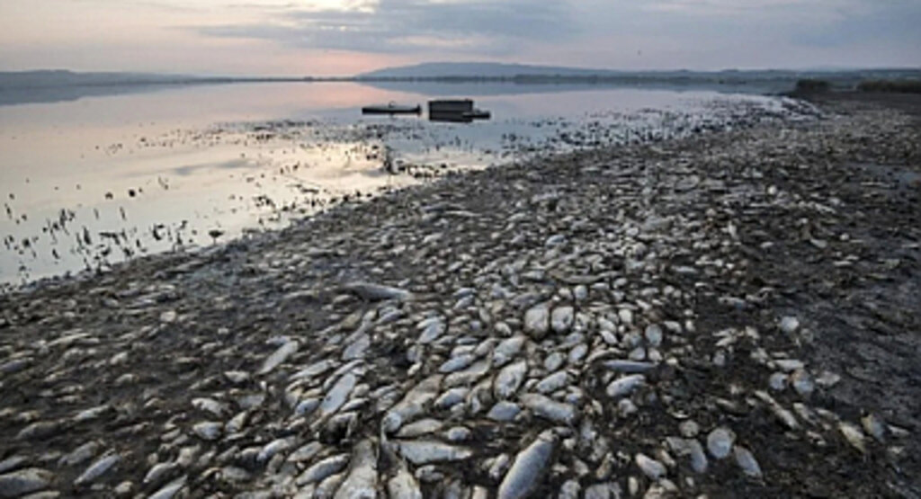 Volos'ta Olağanüstü Hal İlan Edildi