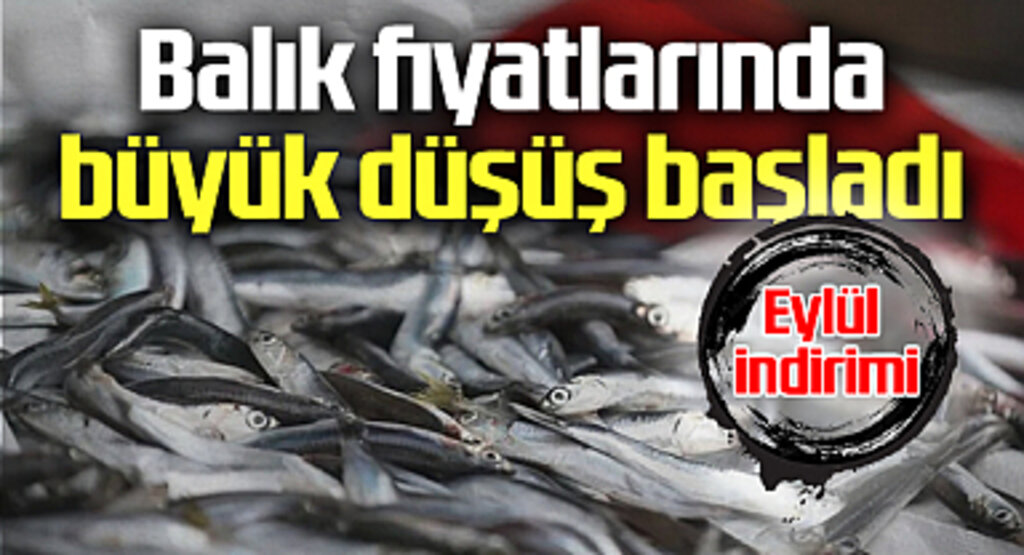 Balık Fiyatlarında Büyük Düşüş Başladı: Eylül İndirimi