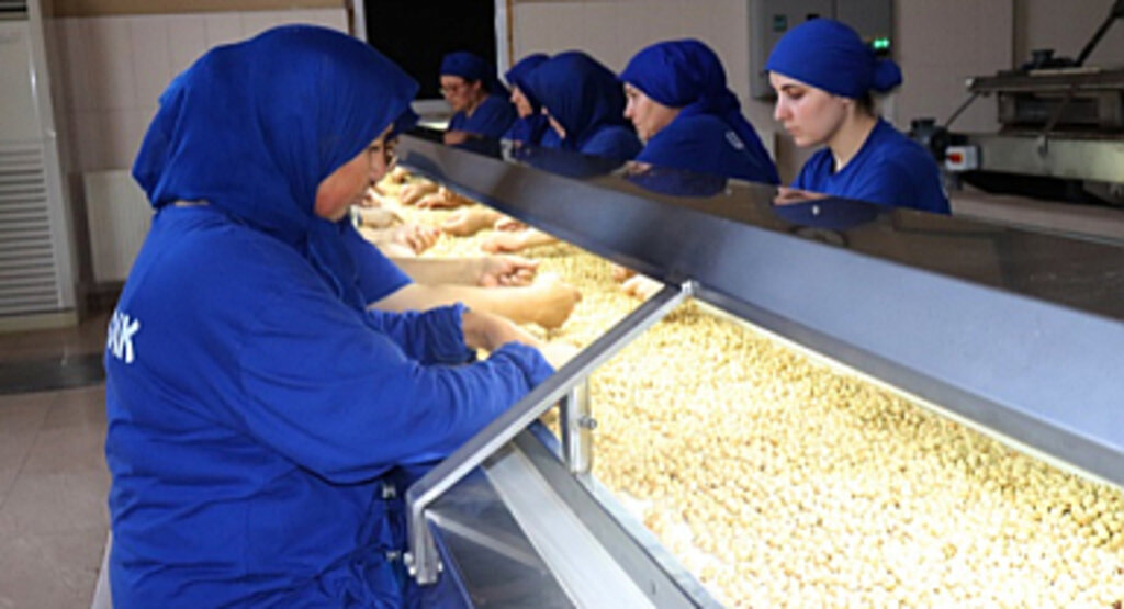 Hedef: 300 Bin Tonun Üzerinde Fındık İhracatı