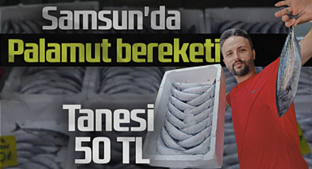 Karadeniz'de Palamut Bereketi: Tanesi 50 TL'ye Satılıyor