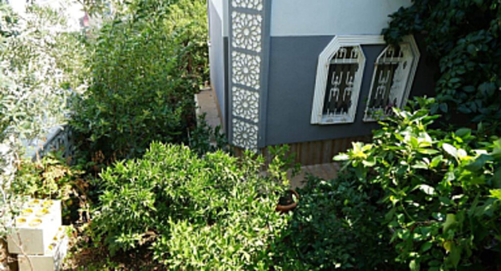 Samsun'da 50 Ülkeden 200 Çeşit Meyve Yetiştiren Bahçe