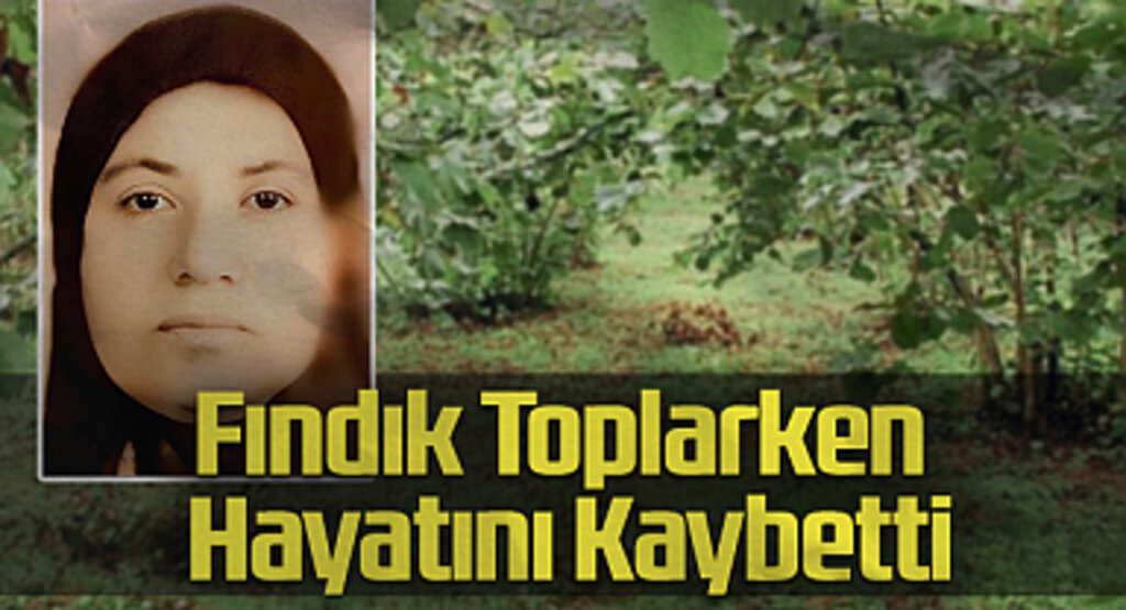 Samsun'da Fındık Toplarken Hayatını Kaybetti