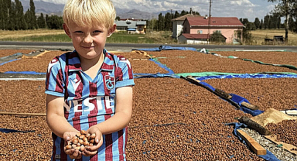 Trabzonlu Fındık Üreticileri, Fındığı Bayburt'ta Kurutuyor