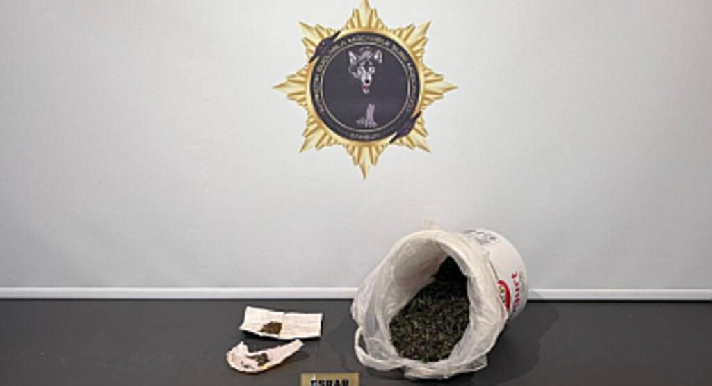 Samsun’da 335 Gram Esrar Ele Geçirildi: 1 Gözaltı