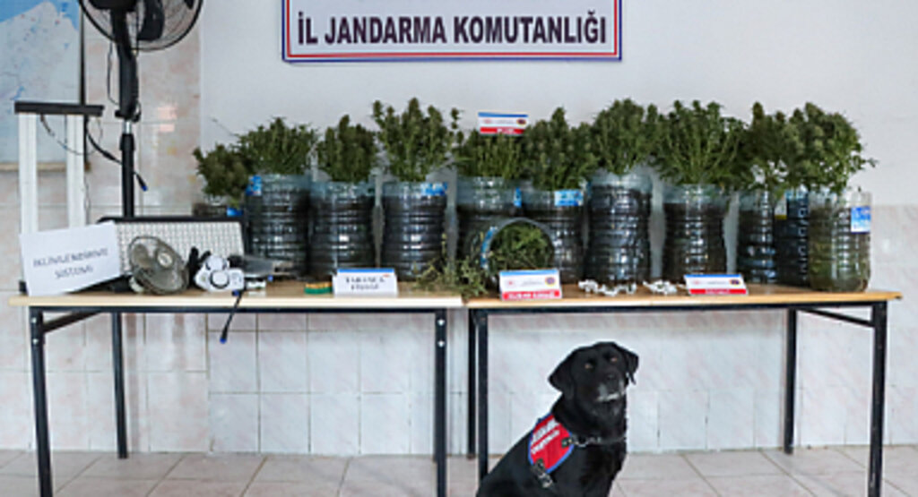 Samsun'da İklimlendirme Sistemi ile Uyuşturucu Üreten Zanlı Yakalandı