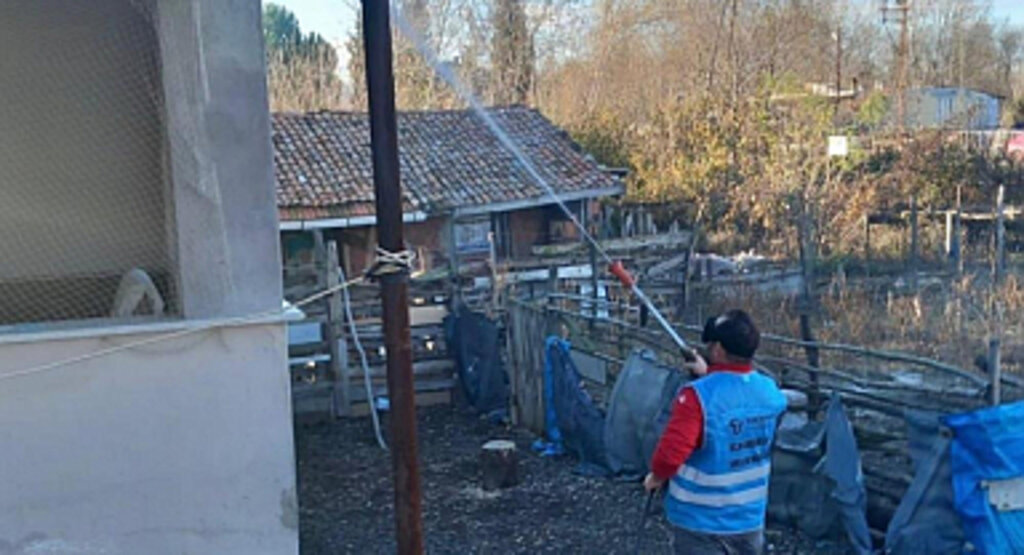 Tekkeköy’de Kahverengi Kokarcaya Karşı Kış Mücadelesi