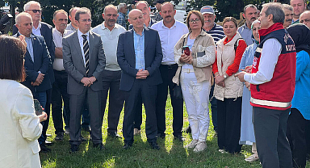Terme’de Kahverengi Kokarca ile Mücadele Devam Ediyor