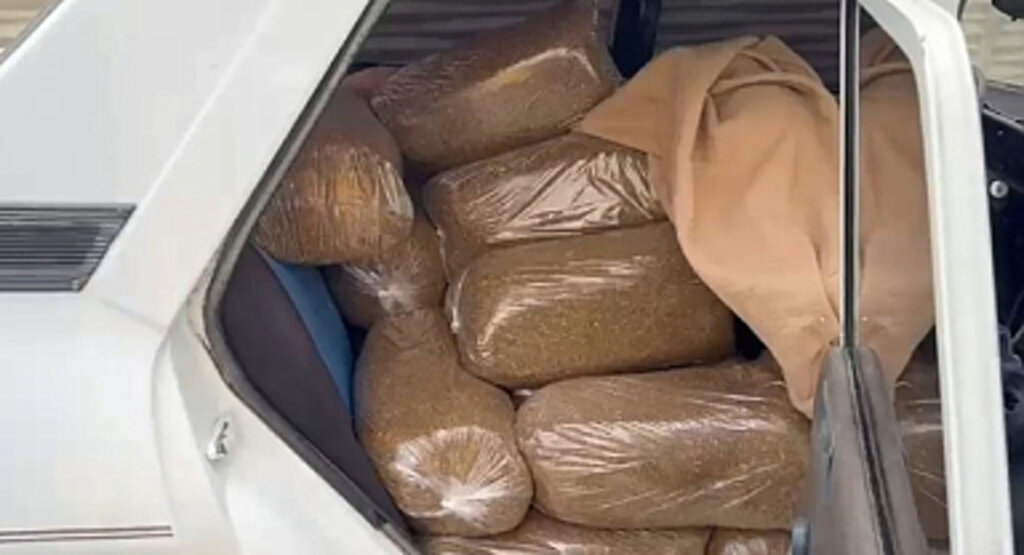 Samsun’da 250 Kilo Kaçak Tütün Ele Geçirildi