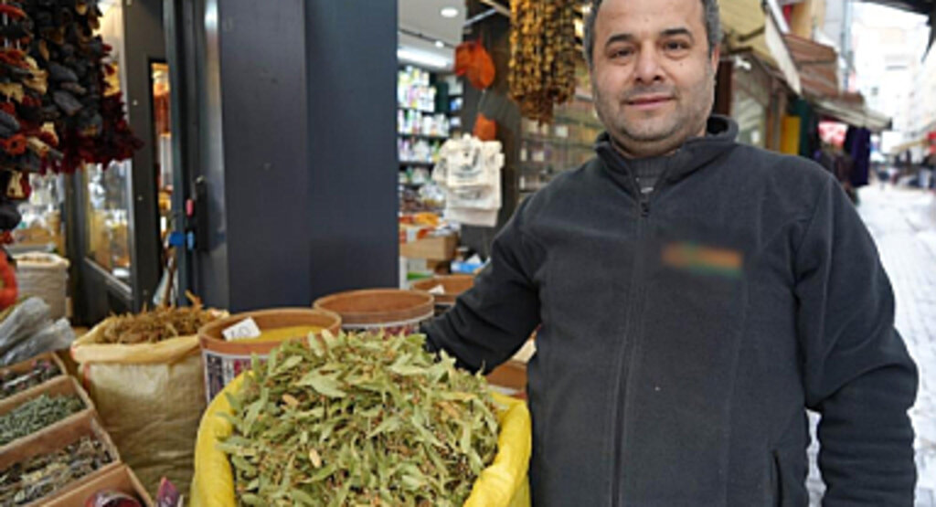 Samsun'da Ihlamur Fiyatları Rekor Kırdı!