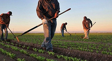 Bakan Yumaklı: Destek Ödemeleri Bugün Hesaplarda