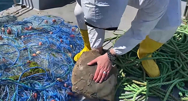 Karadeniz'de Yasağa Uymayan Balıkçılara Ceza