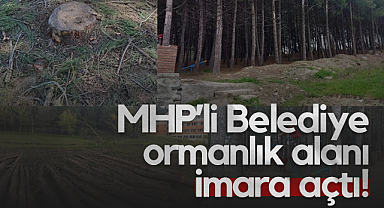 MHP’li Alaçam Belediyesi Ormanlık Alanı İmara Açtı!