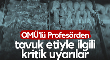 OMÜ’lü Profesörden Tavuk Etiyle İlgili Kritik Uyarılar
