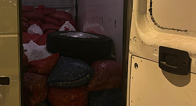 Samsun’da 1,3 Ton Kaçak Midye Yakalandı