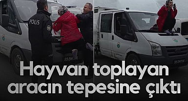 Samsun'da Kadın, Hayvan Toplayan Aracın Tepesine Çıktı: Gergin Anlar Yaşandı