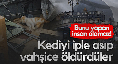 Samsun'da Kediyi İple Asıp Vahşice Öldürdüler