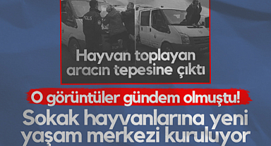 Samsun'da O Görüntüler Gündem Olmuştu! Sokak Hayvanlarına Yeni Yaşam Merkezi Kuruluyor...