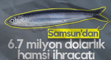 Samsun'dan 6.7 Milyon Dolarlık Hamsi İhracatı