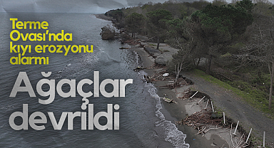 Terme Ovası’nda Kıyı Erozyonu Alarmı: Ağaçlar Devrildi