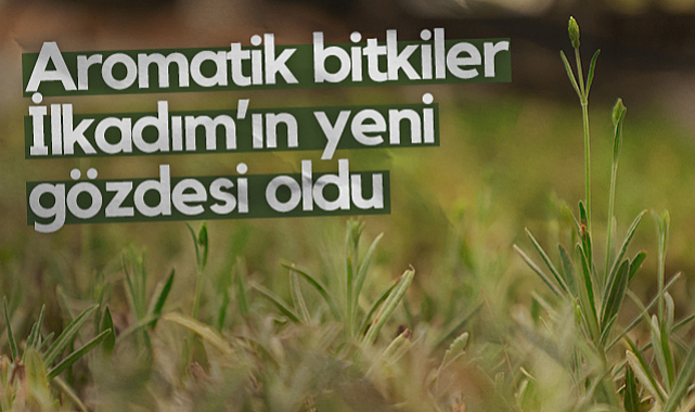 Aromatik Bitkiler İlkadım’ın Yeni Gözdesi Oldu