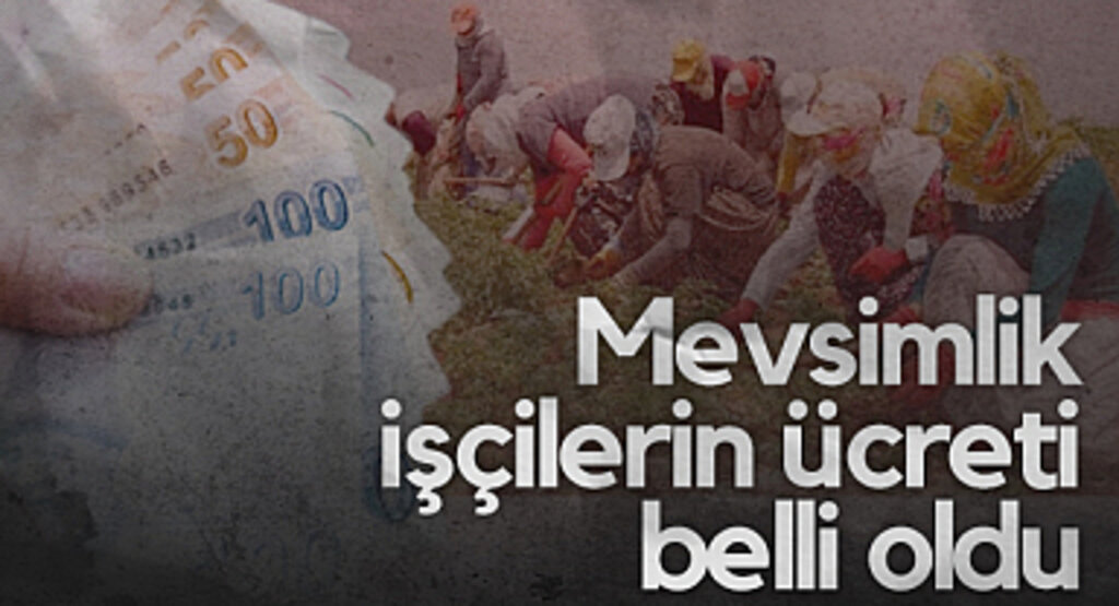 Çarşamba'da Mevsimlik İşçilerin Ücreti Belli Oldu