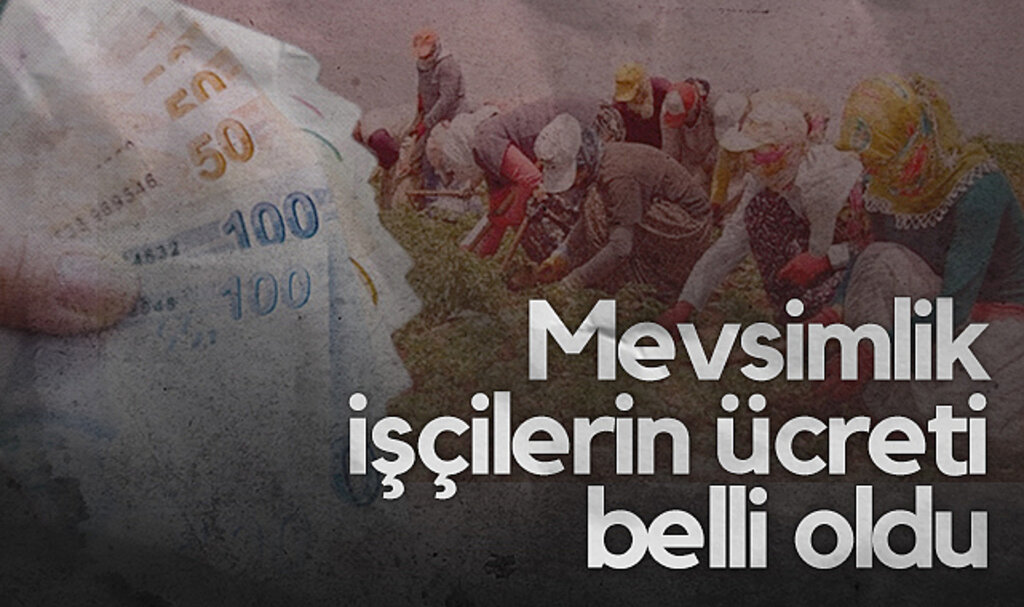 Çarşamba'da Mevsimlik İşçilerin Ücreti Belli Oldu