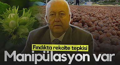 ÇTB Başkanı Kazım Yılmaz'dan Rekolte Açıklamasına Tepki: Fındıkta Manipülasyon Var